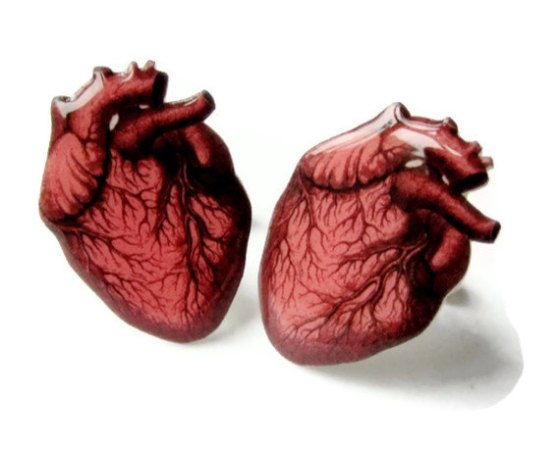 'Anatomical Heart Cufflinks', $20 from The Spangled Maker