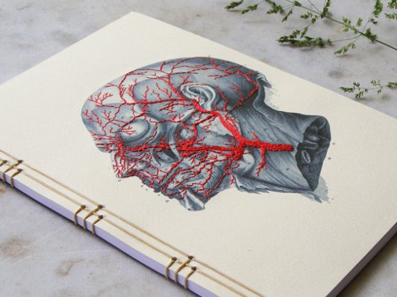 'Anatomy Journal Embroidered A5 Notebook', $50 by Fabulous Cat Papers
